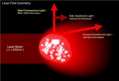 Гематологічний аналізатор Maccura F580 3